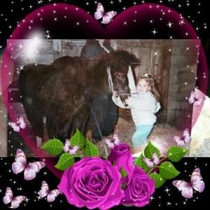 Meet your Posher, Justina